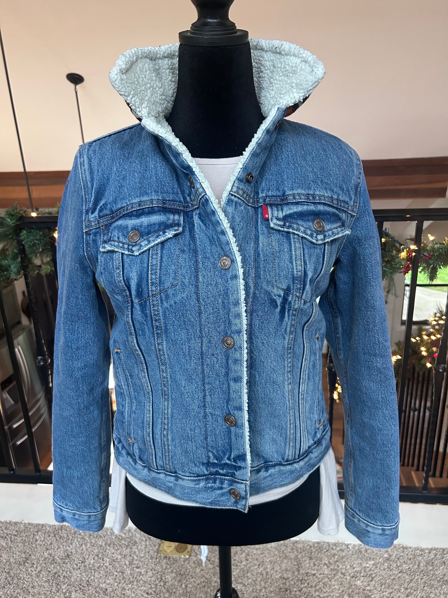 Jacket: Rye (Levi’s Sherpa lined size small)